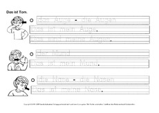 DAZ-Deutsch-lernen-mit-Tom-Körper-D.pdf